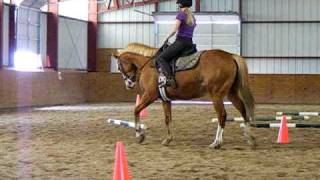 Centered Riding Clinic wCarol Wilson April 11 2010 SadieSaturnVenus 5 [upl. by Latsyk660]