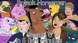 Bojack Horseman explained in 5ish minutes Season 5 [upl. by Oriole111]