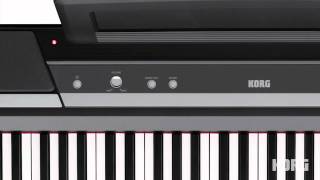 Korg SP170S Digital Piano  A Students Perspective [upl. by Nirret]