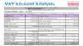 How to Account for VAT [upl. by Sachsse916]