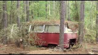 1971 MicroBus and Three Beetles  BARN FIND  FOUND IN THE WOODS OF SC [upl. by Gnilyam802]