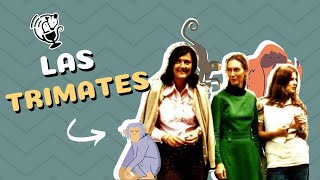 Personajes científicos  Primatólogas Jane Goodall Dian Fossey y Biruté Galdikas [upl. by Karylin]