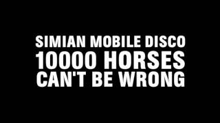 Simian Mobile Disco  10000 Horses Cant Be Wrong [upl. by Haeckel]