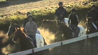 EXTRAIT  Centres dentraînement  Calas  Cabriès  des âmes et des chevaux  Equidia Live [upl. by Lein]