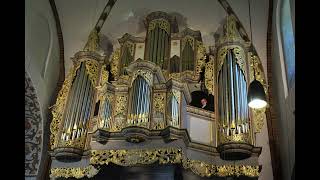 Vincent Lübeck  Praeludium in G Minor LubWV 12  Krzysztof Urbaniak organ Mölln live [upl. by Mazlack]