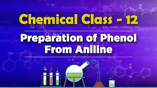 Preparation of Phenol From Aniline  Alcohols Phenols and Ethers  Chemistry Class 12 [upl. by Nesmat]