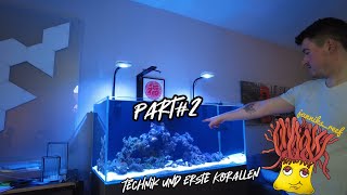 Meerwasser Aquarium bekommt seine Technik und Besatz Part2 [upl. by Enelyk]