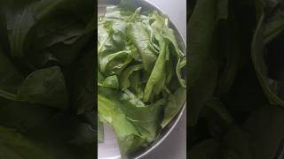 Palak puri n kabli sana rcp shorts youtubeshorts recipe trending shortvideo cooking [upl. by Ynaffital822]