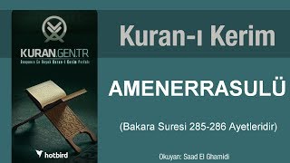 Amener rasulu Bakara suresi 285286 ayetleri amenerrasulu kurani kerim [upl. by Tnairb10]