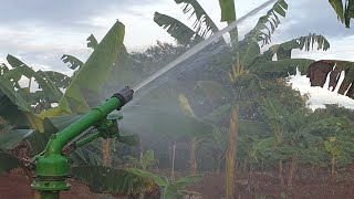 Irrigation system repairs and installation in Uganda [upl. by Ahsiemak]