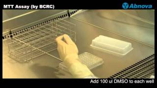 MTT Assay by BCRC [upl. by Kruter]