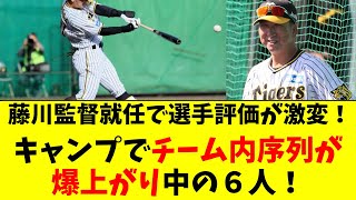 【阪神】キャンプで藤川監督が絶賛、序列が爆上がりの６人！ [upl. by Rother]