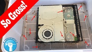 This Will Make Your Skin Crawl Fixing A Cockroach Infested PS4 [upl. by Amati]