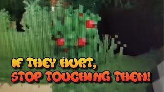 thorny bushesIf they hurt stop touching them Minecraft update [upl. by Tneicniv]