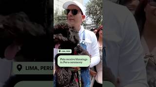 Peruvians line up to get pets blessed  ABC NEWS [upl. by Attaymik]