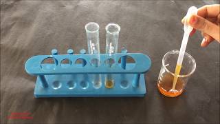 Phytochemical Test for Tannins English  Tannins Identification Test  Tannins Phytochemical Test [upl. by Moyra]