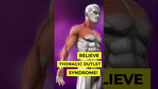 Thoracic Outlet Syndrome Relief Exercises [upl. by Besnard955]