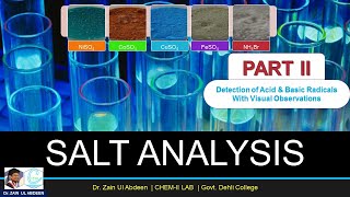 Salt Analysis  Detection of Acid amp Basic Radicals  Visual Observations  Chemistry XII Practical [upl. by Zsa]