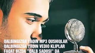 ShohruhxonBu turfa gullar newversion mp3 [upl. by Alimrahs912]