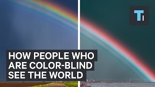 How people who are colorblind see the world [upl. by Jordanna]