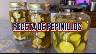 Receta de pepinillos encurtidos mas fácil y rápida [upl. by Anoval]