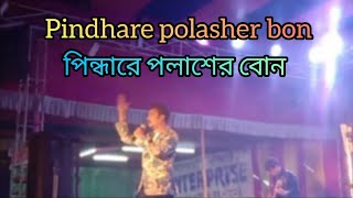 PINDARE POLASHER BON  পিন্দারে পলাশের বোন । [upl. by Euqcaj337]