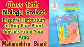 12th Biology Project  Prepare Herbarium of Any Five Plant Species From Your Area  project [upl. by Irwinn]