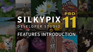 quotSILKYPIX Developer Studio Pro11quot promotion movie  FEATURES INTRODUCTION [upl. by Atteval]