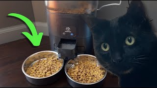 Feed Your Cats When You Arent Home  Automatic Pet Feeder Review [upl. by Siwel]