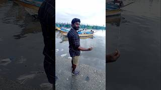 Unbelievable Big Fish Catch with 12 EMPTY Hooks fishing fishingvideos thoondilulagam seafishing [upl. by Aarika699]