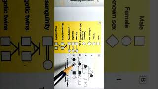 Pedigree 1 Autosomal Dominant  Criteria [upl. by Dis400]