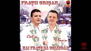 Florin Crisan  Mia scris mama o scrisoare [upl. by Ivanna]