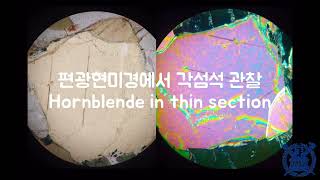 편광현미경 각섬석 관찰 Amphibolite in thin section 개방직교니콜에서 조암광물 광학적 특징 characteristics in PPLXPL [upl. by Nybbor]