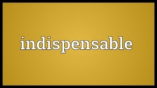 Indispensable Meaning [upl. by Naig659]