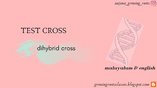 Test Cross For Dihybrid Cross  Malayalam  How To Find The Genotypic amp Phenotypic Ratio of Dihybrid [upl. by Rasmussen]