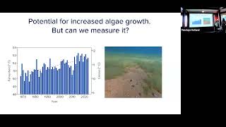 Nearshore Algae Update [upl. by Akirehc853]