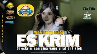 DJ ES KRIM CAMPINA YANG VIRAL DI TIKTOK  MIDEL NROTOK NULOP JINGGEL ZULFAIS AUDI  BRONCO GANK [upl. by Notlok]