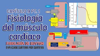 CAP 9 13 Fisiología del músculo cardíaco l Fisiología de Guyton [upl. by Aneleiram]