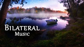 Relaxing Bilateral Stim Music  1 Hour for Anxiety Stress PTSD Sleep 🎧 A Drop in Time [upl. by Odelinda]