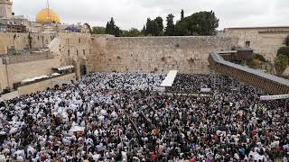 Birkat Kohanim Priestly Blessing Sukkot ברכת כהנים ברחבת הכותל  סוכות תשפquotד 2023 [upl. by Atnauqal619]