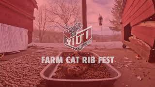 Farm Cat Rib Fest [upl. by Raff]