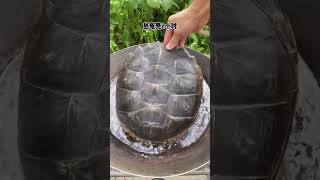 Turtle jelly Chinese Mountain Forest Life And Food MoTiktok Fyp [upl. by Yonah]