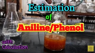 Estimation of AnilinePhenol by Bromination Method  For voice of 1035 minsaw in Discription [upl. by Oisorbma]