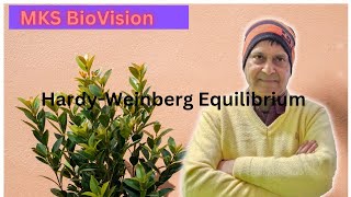 Hardy Weinberg equilibrium [upl. by Malissia]