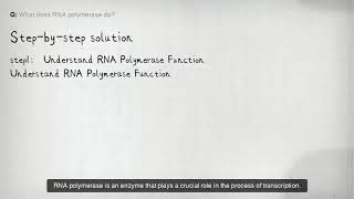 What does RNA polymerase do [upl. by Olegnalehcim]