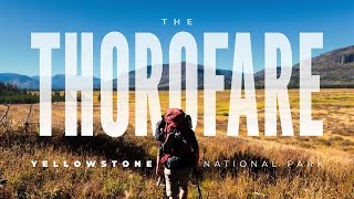 Hiking 90 MILES in MOST Remote Place in AMERICA  8 Day Backpacking Trip in THOROFARE  YELLOWSTONE [upl. by Nonnahs]