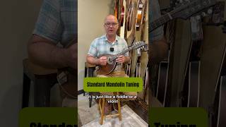 How to tune your mandolin to standard tuning mandolin mandolininstrument mandolintuning [upl. by Orlando]