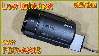 SONY FDRAX45 low light test 暗所性能を確かめる動画。 [upl. by Cissiee525]