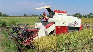 KOMBET BIMO 102 MEMANEN DI NGLANDUNG GEGER MADIUN  MT2 2024 [upl. by Yrrem367]