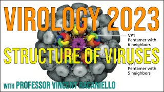 Virology Lectures 2023 4 Structure of viruses [upl. by Oster]